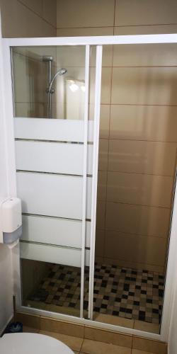 a shower with a glass door in a bathroom at Casa Miraj in Călimăneşti