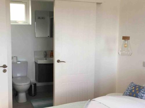 a bathroom with a toilet and a sink and a door at Boherbui Cottage on the Wild Atlantic Way in Doolin