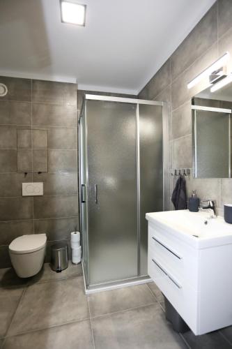 a bathroom with a shower and a toilet and a sink at Apartment Klostermann 006 in Železná Ruda