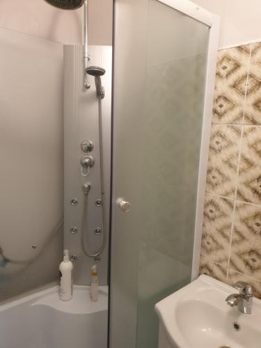 a shower with a glass door next to a sink at Rose apartaments in Liepāja