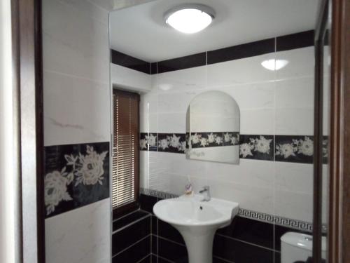 La salle de bains est pourvue d'un lavabo et d'un miroir. dans l'établissement Studio Apartment in Palamartsa, à Palamarza