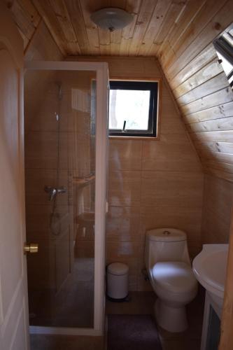uma casa de banho com um WC, um chuveiro e um lavatório. em Domos Nelkewue em Santa Bárbara