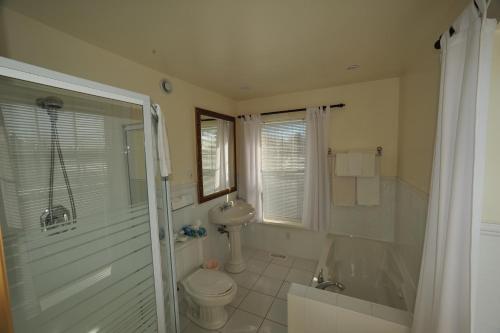 a bathroom with a toilet and a sink and a shower at Little Shemogue Inn in Little Shemogue