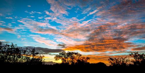 a sunset sky with trees in the foreground at Vuyani River Lodge in Hoedspruit