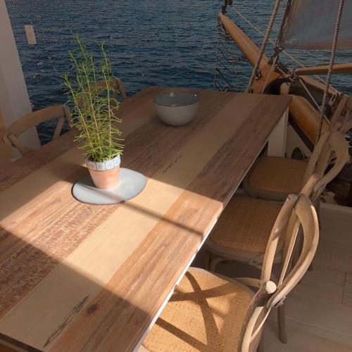 a wooden table with a potted plant on a boat at L'Oisette in Ghislenghien