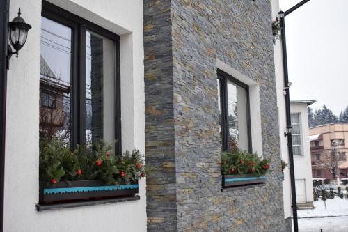 two windows with plants in them on a building at Vila Seva in Vatra Dornei