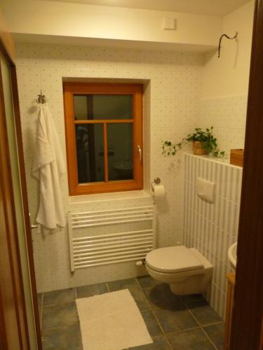 Ein Badezimmer in der Unterkunft Apartmá Krkonoše