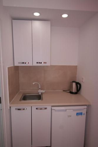 Dapur atau dapur kecil di Alexandros Studios