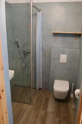a bathroom with a shower and a toilet and a sink at domki letniskowe Gnieźnieńska Pobierowo in Pobierowo