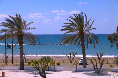 two palm trees on a beach with the ocean at Blue Diamond Beach Villas in Paphos