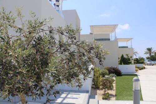 a tree in front of a white building at Blue Diamond Beach Villas in Paphos City