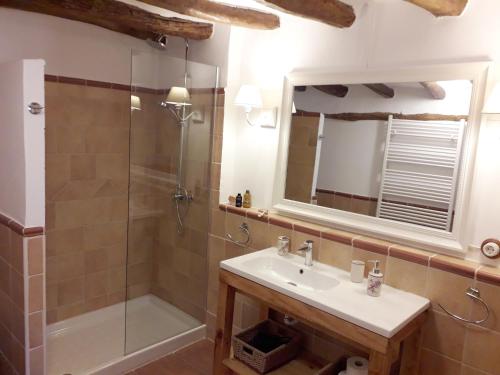 y baño con lavabo y ducha. en La Sargantana Turismo Rural, en Santa Cruz de Nogueras