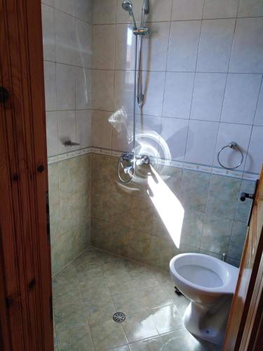 a bathroom with a shower and a toilet at вила Здравец in Yagodina