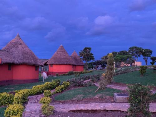 a group of huts with thatched roofs on a field at Samuka Island Retreat in Jinja