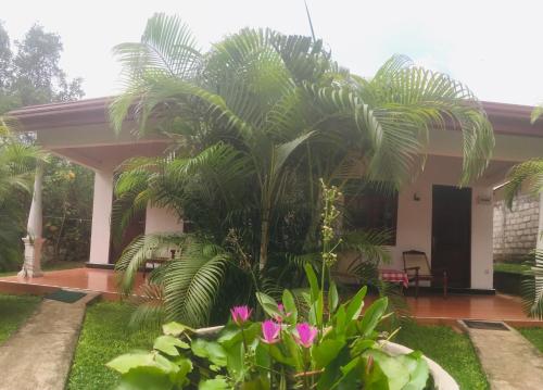 Taman di luar Lal Home Stay