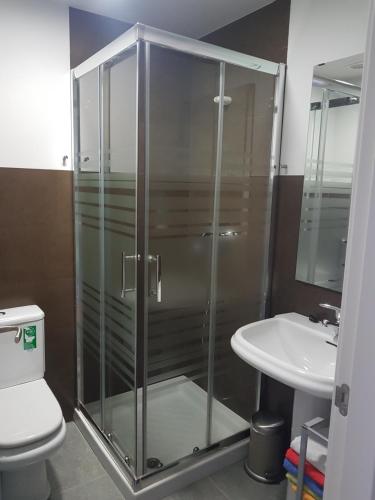 a bathroom with a shower and a toilet and a sink at Apartamento Castillo de Arguedas in Arguedas