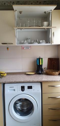 Una cocina o zona de cocina en Parkside Apartment