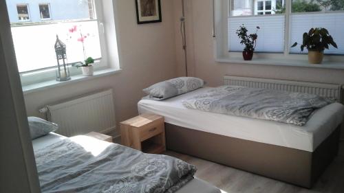 two beds in a room with two windows at Pension Stahlberg in Lübz
