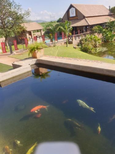 a pool of water with kites in it at Nkomazi Kruger Lodge & Spa in Malelane