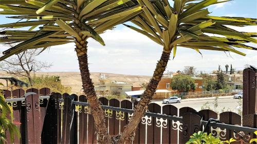 two palm trees in front of a fence at Dead Sea Sun Guest House in Arad