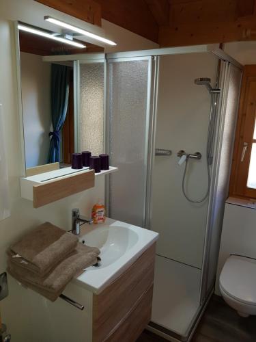 a bathroom with a sink and a shower at Blockhäuser Stamsried in Stamsried