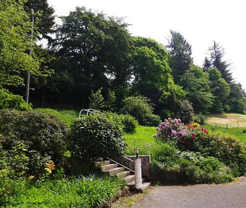 a bench in a garden with flowers and trees at Green Corner Nürburg in Nürburg