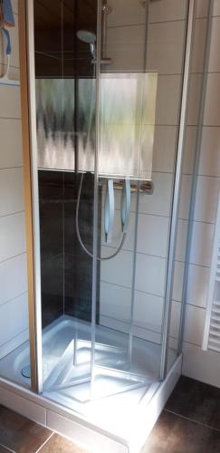 a shower with a glass door in a bathroom at Weinbergblick in Ramsthal