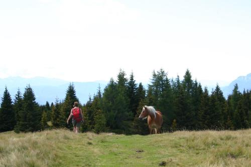 a woman and a horse on a grassy hill at Panoramapension Etschblick in Meltina