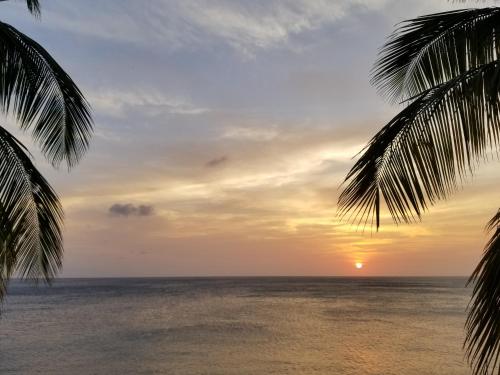 una puesta de sol sobre el océano con dos palmeras en Breathtaking View - Playa Lagun - Curacao, en Lagun