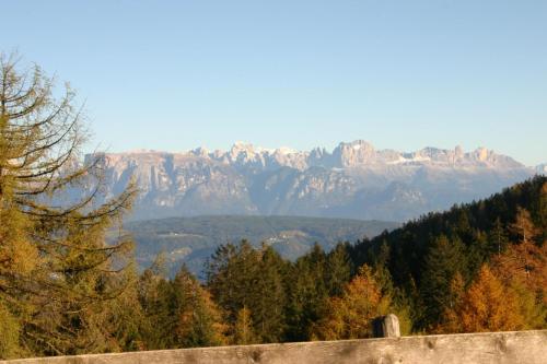a view of a mountain range with trees in the foreground at Panoramapension Etschblick in Meltina