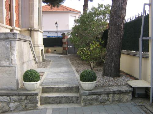 a stairway with two bushes in pots next to a tree at Villa Le Cid in Soulac-sur-Mer