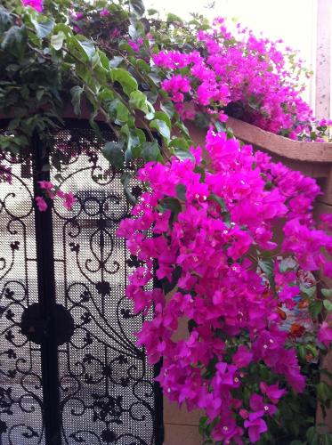 Giardino di La Colline de Chott Meriem appartements