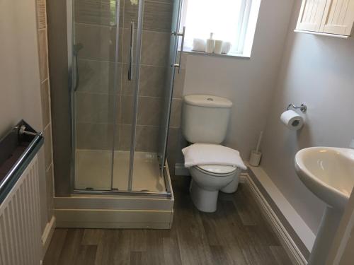 a bathroom with a shower and a toilet and a sink at Liberty Locking Castle in Weston-super-Mare