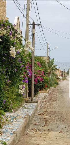 Il quartiere o una zona nella vicinanze dell'appartamento