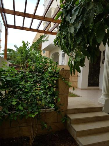 Giardino di La Colline de Chott Meriem appartements