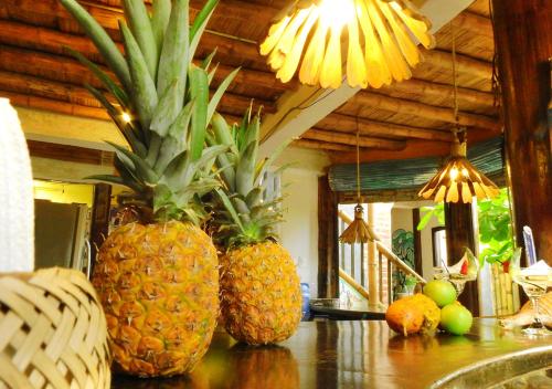 two pineapples sitting on a counter in a kitchen at La Facha Hostal Restaurant Surf in Mompiche