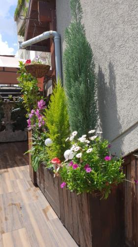 a flower planter on the side of a building with flowers at Amazing in Haifa