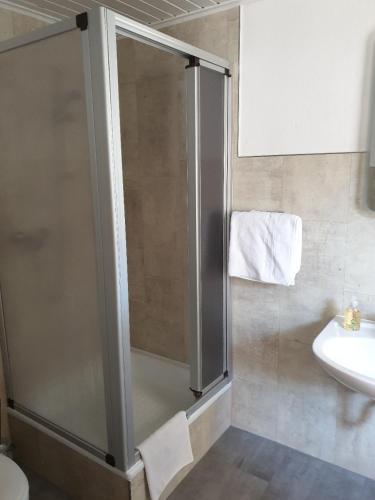 eine Dusche im Bad mit WC und Waschbecken in der Unterkunft Gastehaus in der Alte Kellerei in Kobern-Gondorf