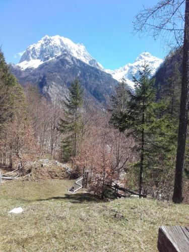 una montagna innevata in lontananza con una panchina di Cottage Trenta a Bovec