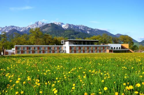 a building in the middle of a field of flowers at Hotel Spirodom in Admont