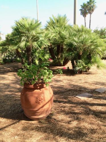 a large plant pot sitting on the ground with palm trees at Villa Le Palme in Rosa Marina