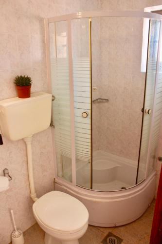 a bathroom with a toilet and a shower at Nir Apartments Budva in Budva