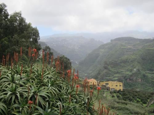 a view of a mountain with red flowers in the foreground at Villa Deluxe Suites Maspalomas in Maspalomas