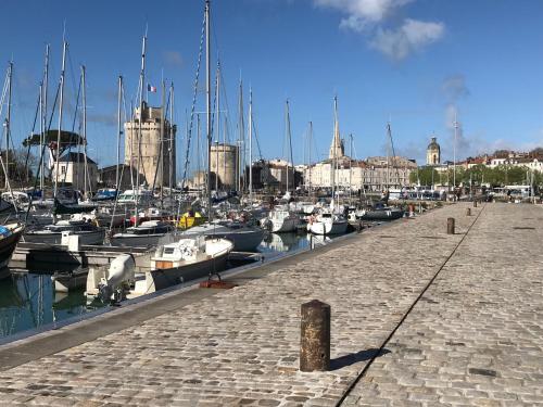 a bunch of boats are docked in a marina at Les Trémières in Le Thou