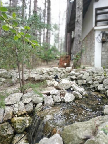 Gallery image of Guesthouse Bajka in Vinci