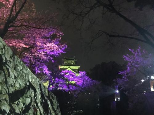 a building with purple lights in the trees at night at Luxes Hiroshima2030 ラクセス ヒロシマ2030 in Hiroshima