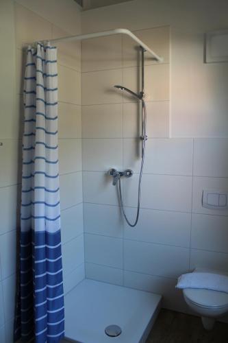 a bathroom with a shower and a toilet at Villa Waldheim - WG 3 in Boltenhagen