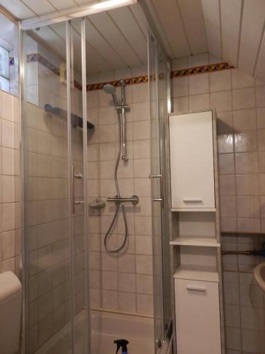 a shower with a glass door in a bathroom at Ferienhaus Greta in Malborn