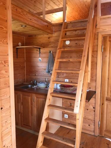 a ladder in a log cabin with a sink at Rožkalni in Puze