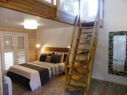 a bedroom with a bunk bed and a ladder at Perle de Clugny in Sainte-Rose